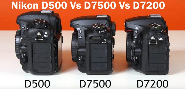 pensioen oppervlakte groep Nikon D7500 Vs D500 Vs D7200 Review Video Test And Specs - Fun Tech Talk