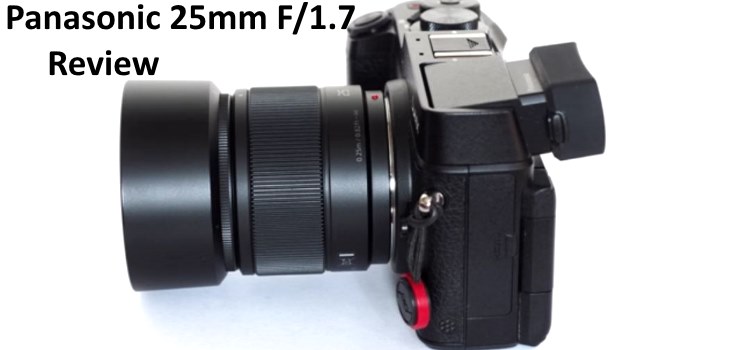 Detailed Review Of Panasonic 25mm F/1.7 Tested In the Field Quality - Fun Tech Talk